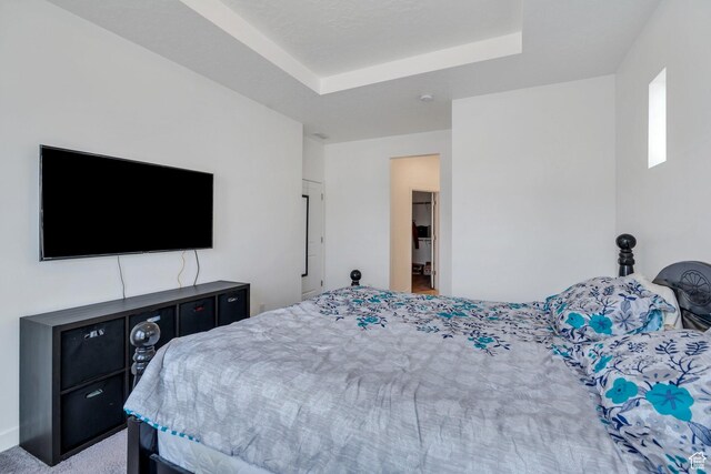 6156 W Poplar View Dr, South Jordan, UT 84009 - carpeted bedroom featuring a tray ceiling