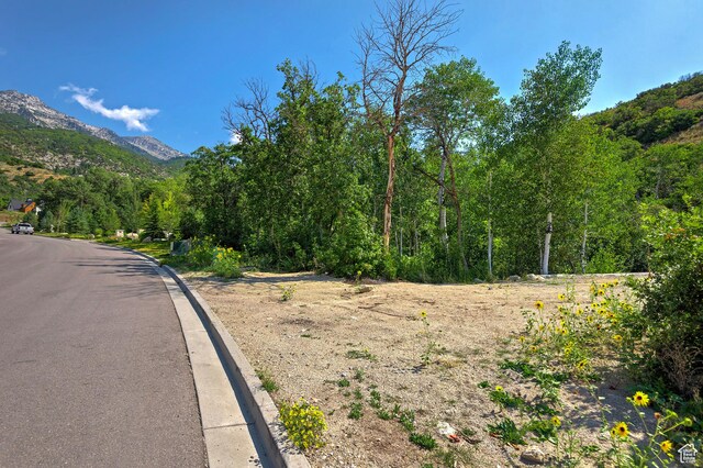 2464 N Three Falls Dr Unit 23, Alpine, UT 84004