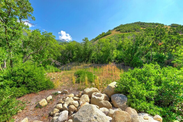 2464 N Three Falls Dr Unit 23, Alpine, UT 84004