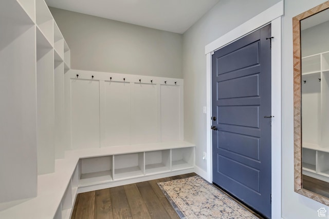 mudroom with dark wood-type flooring