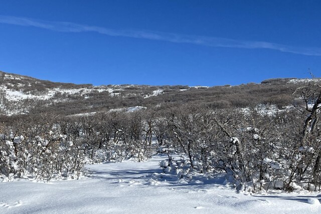1900 W Red Hawk Trl, Park City, UT 84098