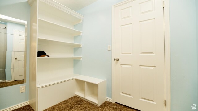 mudroom with dark colored carpet and baseboards