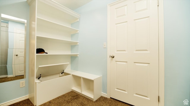 mudroom featuring baseboards and carpet floors