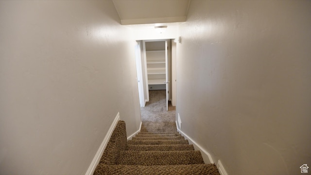stairs featuring baseboards and carpet flooring