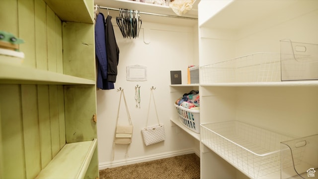 walk in closet featuring carpet floors