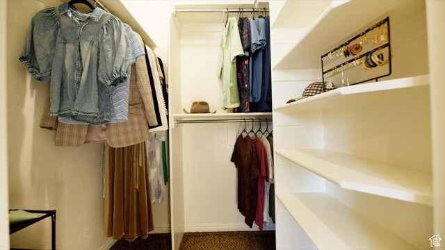 view of walk in closet