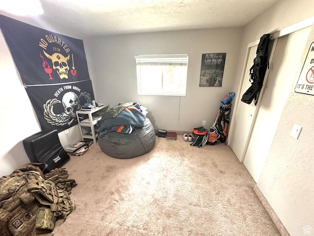 interior space with carpet flooring and a textured ceiling