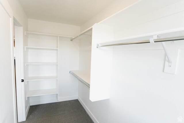 spacious closet featuring dark colored carpet