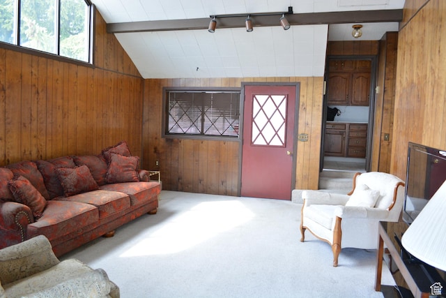 418 N 9th St, Montpelier, ID 83254 - carpeted living room with wood walls, rail lighting, and lofted ceiling with beams