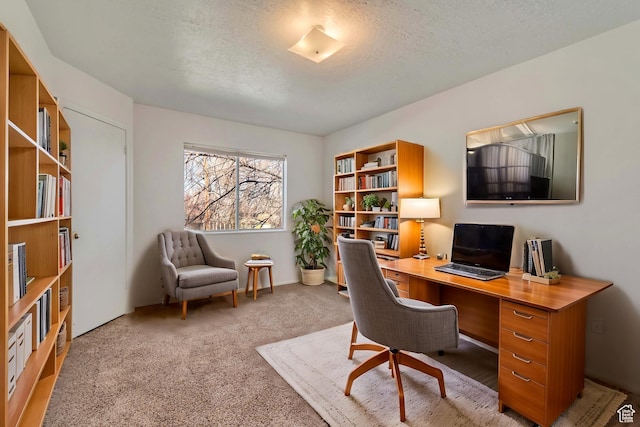 241 E Crestone Ave Unit 16A, South Salt Lake, UT 84115 - office with carpet floors and a textured ceiling