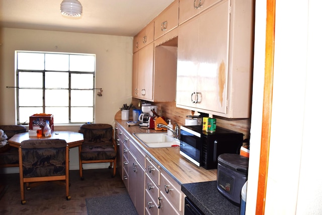 255 S Center St, Circleville, UT 84723 - kitchen featuring a sink and black microwave