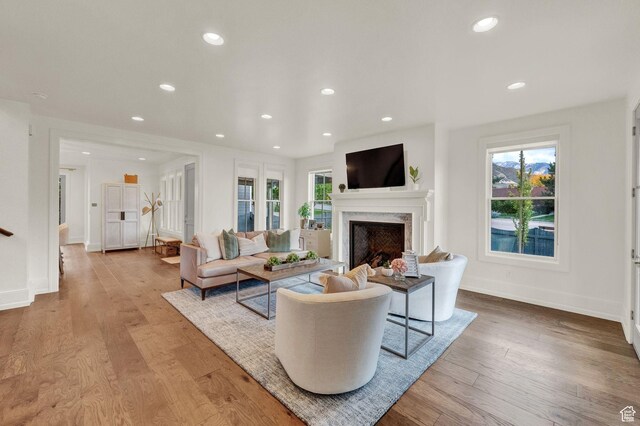 living area with a high end fireplace, wood finished floors, and a healthy amount of sunlight