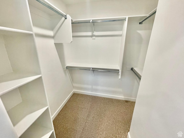 walk in closet featuring carpet floors