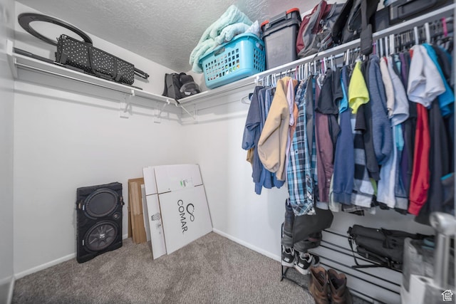 spacious closet featuring carpet