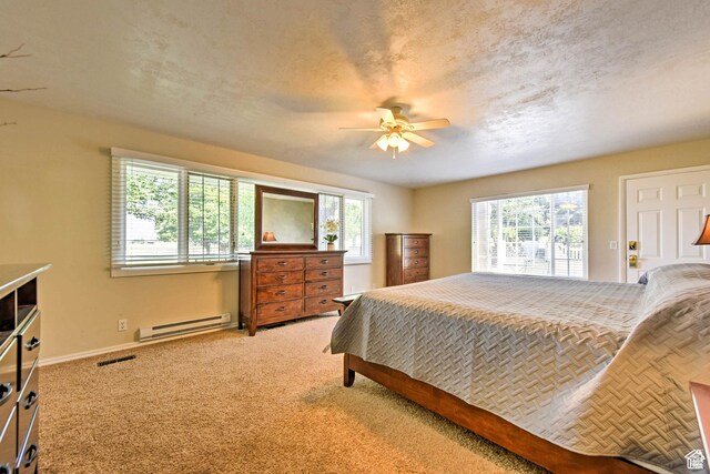 1050 S 200 W, Wellsville, UT 84339 - bedroom with a baseboard radiator, light carpet, multiple windows, and visible vents