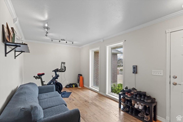 living area featuring crown molding, baseboards, and wood finished floors