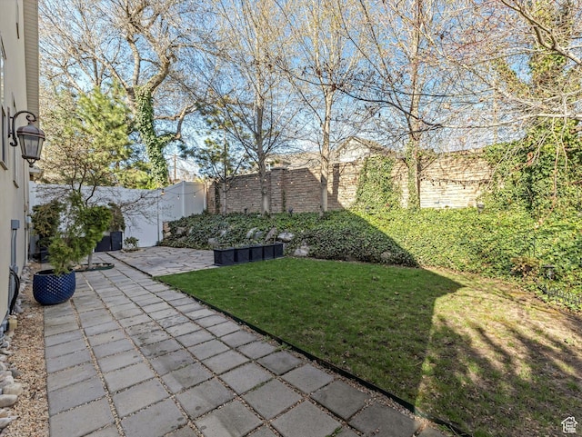 view of yard with a patio area and a fenced backyard