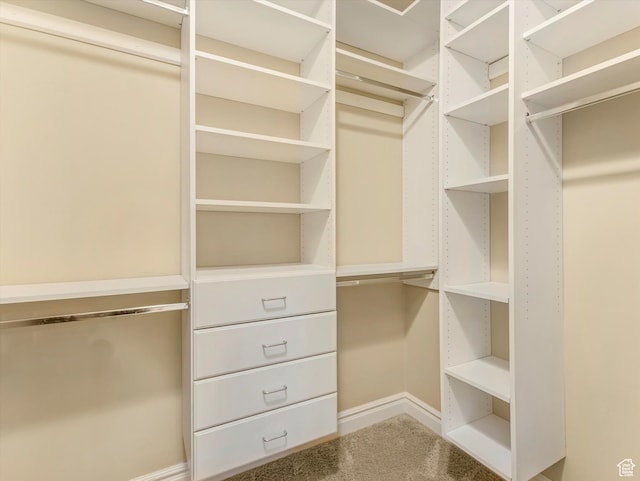 walk in closet featuring carpet