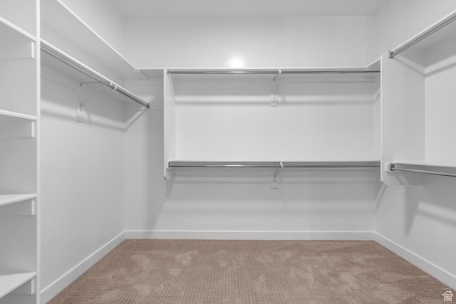 692 W Junegrass Ln, Stansbury Park, UT 84074 - spacious closet featuring carpet flooring