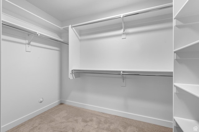 692 W Junegrass Ln, Stansbury Park, UT 84074 - walk in closet with carpet