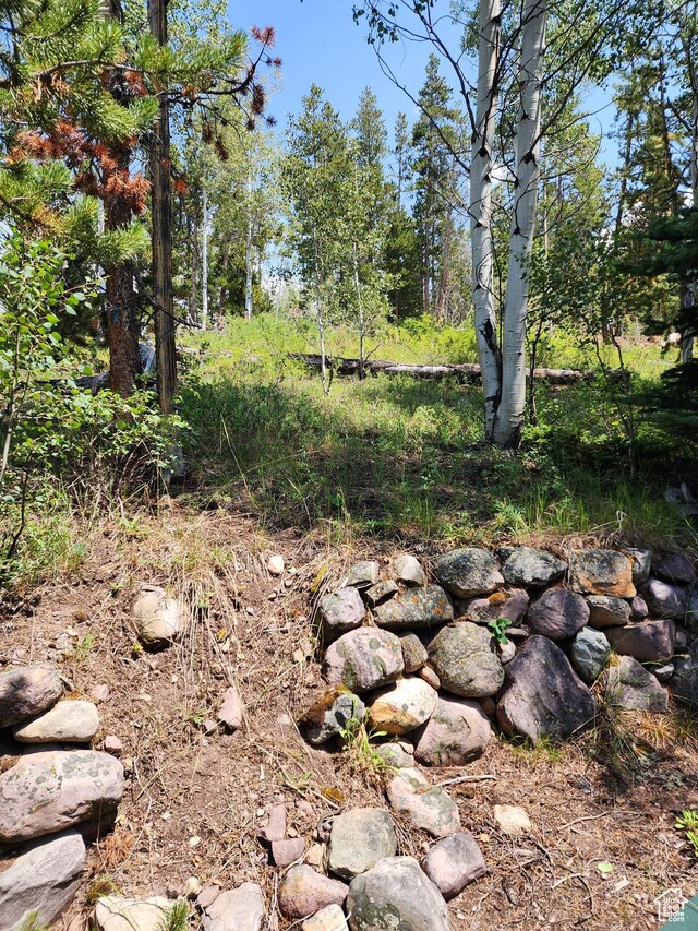868 Forest Cir Unit 9, Coalville, UT 84017