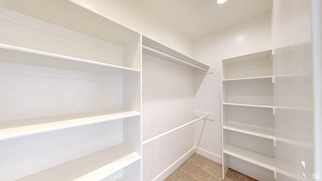 walk in closet featuring carpet flooring