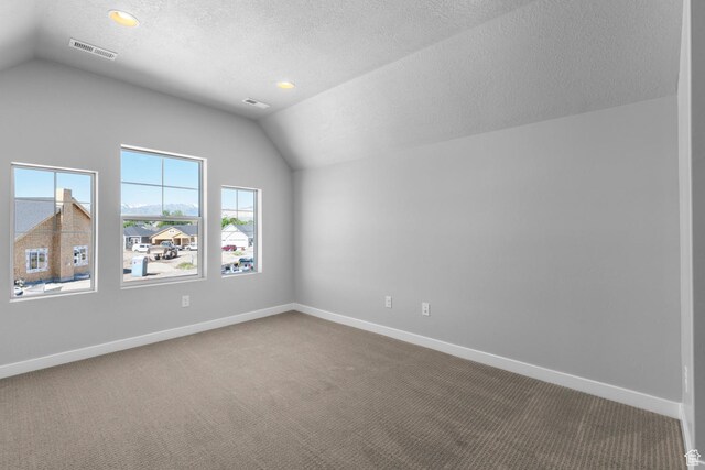 bonus room with carpet floors, baseboards, a textured ceiling, and lofted ceiling