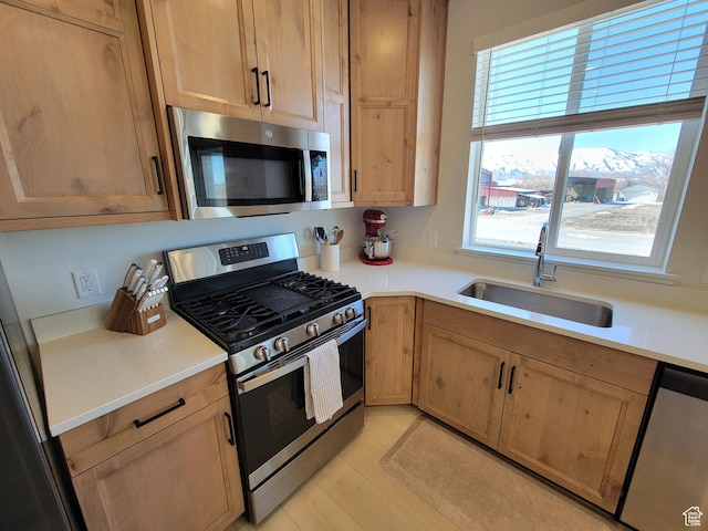 kitchen with light countertops, appliances with stainless steel finishes, and a sink