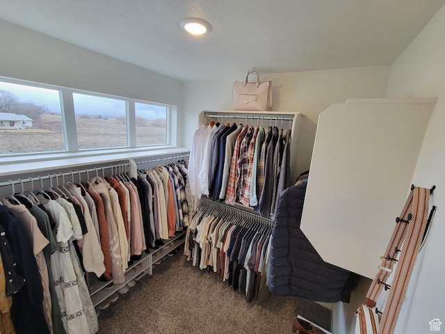 spacious closet featuring dark colored carpet