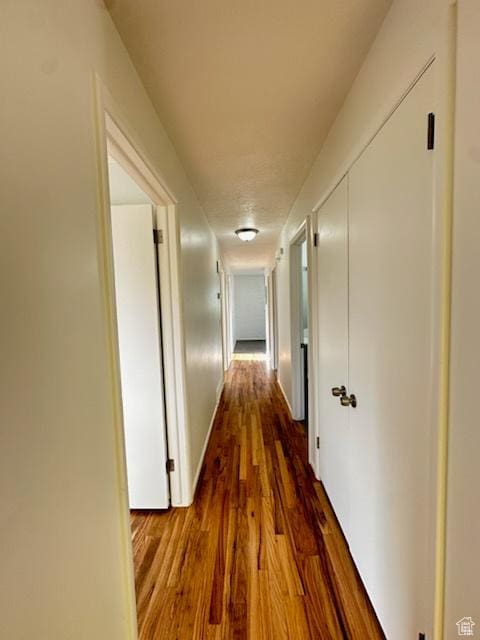 hallway featuring dark wood-type flooring