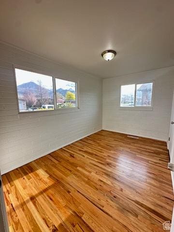 spare room featuring plenty of natural light and wood finished floors