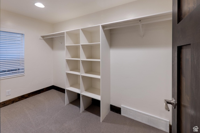 284 W Mcgill Blvd, Moab, UT 84532 - spacious closet featuring visible vents and carpet floors