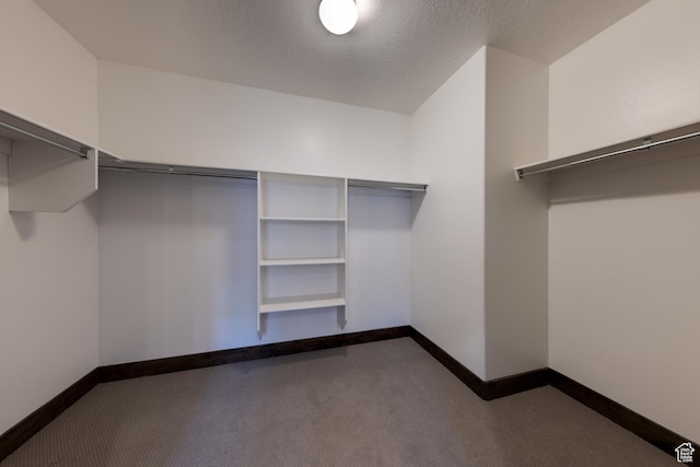 284 W Mcgill Blvd, Moab, UT 84532 - spacious closet with carpet flooring