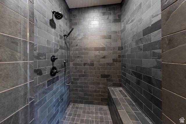 284 W Mcgill Blvd, Moab, UT 84532 - full bath with tiled shower