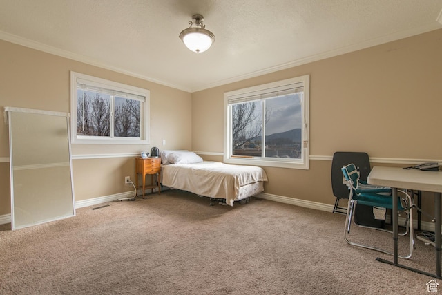 485 N 400 W, Tremonton, UT 84337 - carpeted bedroom featuring ornamental molding, visible vents, baseboards, and a textured ceiling