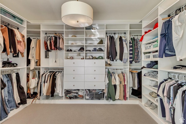 70 E Deer Meadow Ct, Woodland Hills, UT 84653 - view of walk in closet