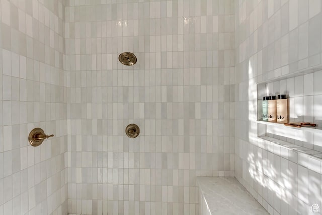 70 E Deer Meadow Ct, Woodland Hills, UT 84653 - bathroom with a tile shower