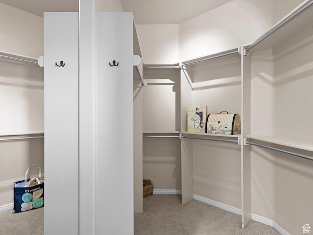 walk in closet featuring carpet floors