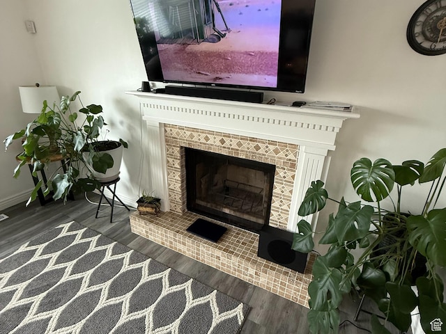 interior details featuring wood finished floors, a fireplace, and baseboards