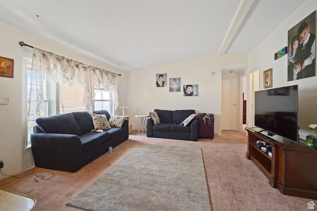 5801 S 7100 W, Hooper, UT 84315 - living room with carpet floors and lofted ceiling