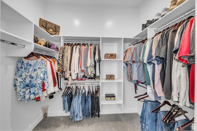 3086 W 570 N, Hurricane, UT 84737 - walk in closet with carpet flooring