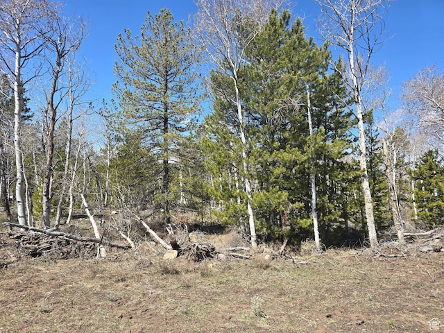 4900 Arrowhead Dr Unit 325, Kamas, UT 84036