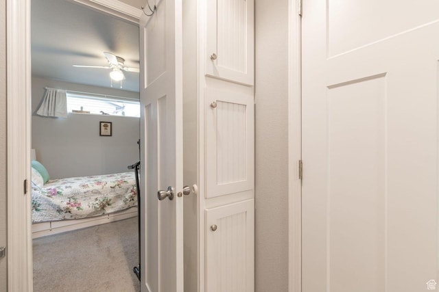 1150 W Red Hills Pkwy Unit 57, Washington, UT 84780 - corridor with carpet flooring