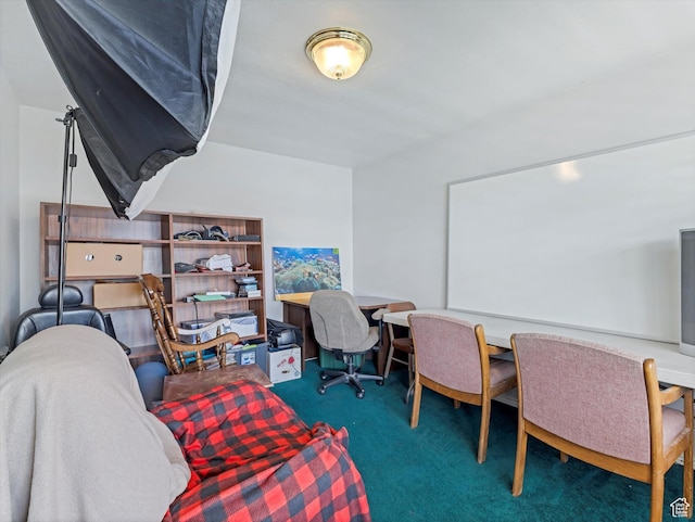 4572 W Bingham Park Dr S, West Jordan, UT 84088 - office with carpet