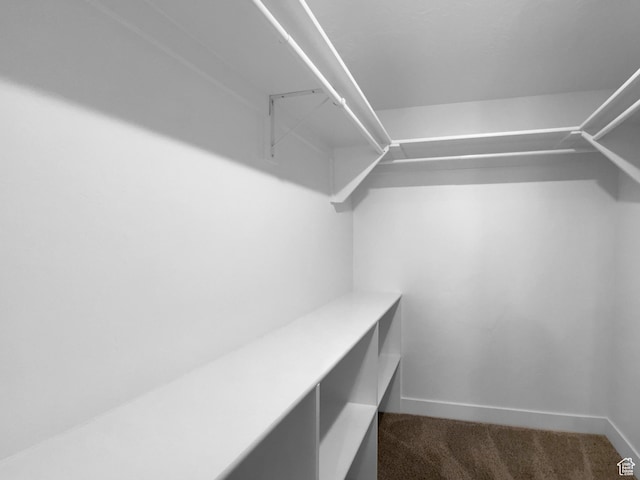 2806 E Crimson Ct, Eagle Mountain, UT 84005 - spacious closet with dark colored carpet