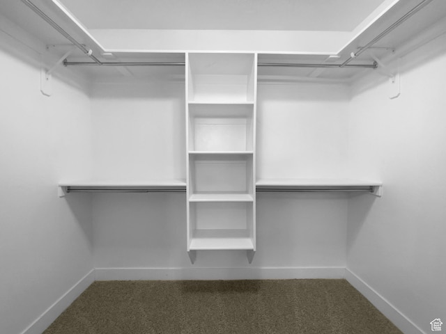 2806 E Crimson Ct, Eagle Mountain, UT 84005 - spacious closet featuring carpet flooring