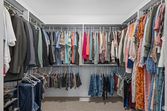 7091 N Oquirrh Ranch Pkwy, Eagle Mountain, UT 84005 - spacious closet with carpet flooring