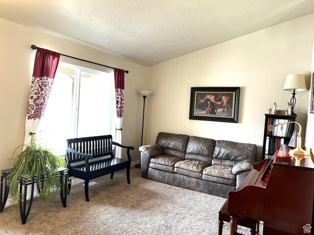 379 S 1370 E, Tooele, UT 84074 - photo 3