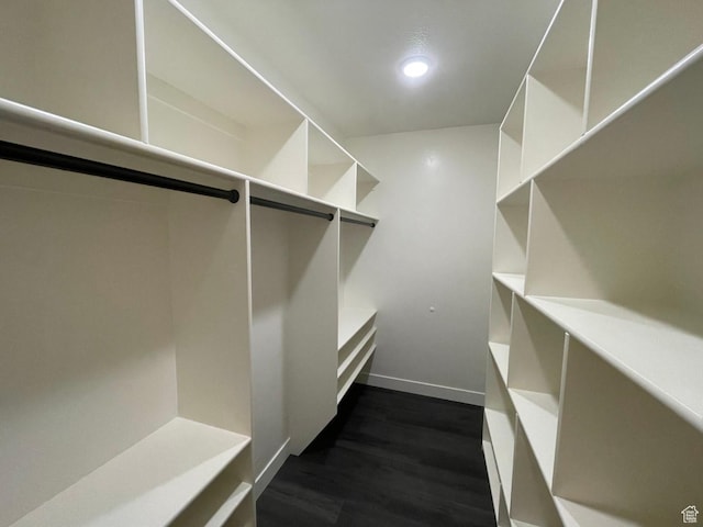 631 N 4250 W, Vernal, UT 84078 - walk in closet with dark wood finished floors