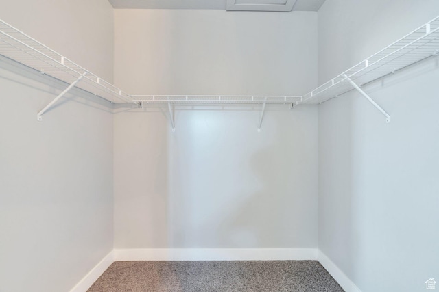 108 W Seasons Dr, Vineyard, UT 84059 - spacious closet featuring carpet flooring